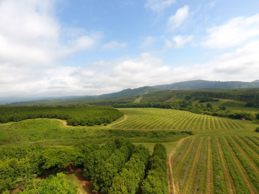 Irrigation farm for sale in Barberton Rural - 1NK1726483