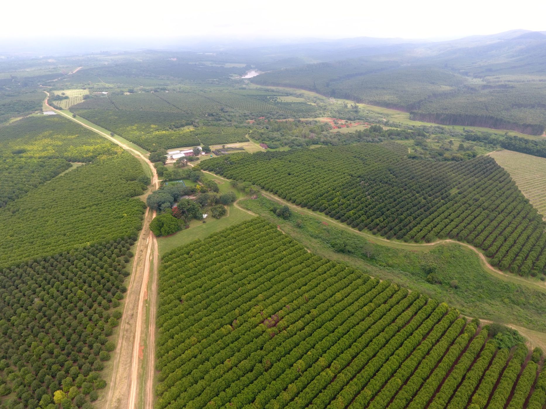 Irrigation farm for sale in Barberton Rural - 1NK1726483