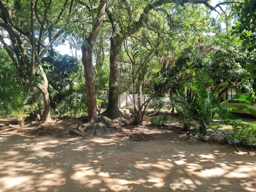 Commercial office to rent in Amby, Zimbabwe - 3ZB1726573 Commercial office to rent in Amby, Zimbabwe - 3ZB1726573