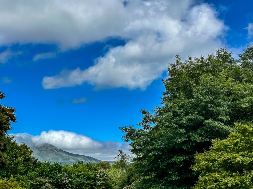 House for sale in Hogsback - 1EZ1726750