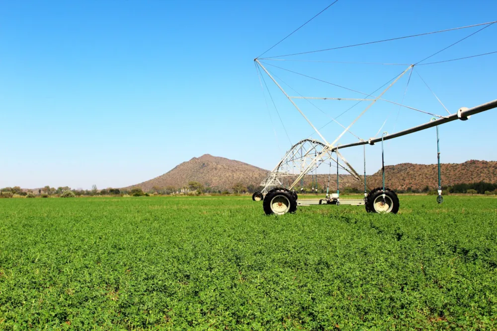 Breeding farm for sale in Middelburg Rural - 1KK1728614 Breeding farm for sale in Middelburg Rural - 1KK1728614