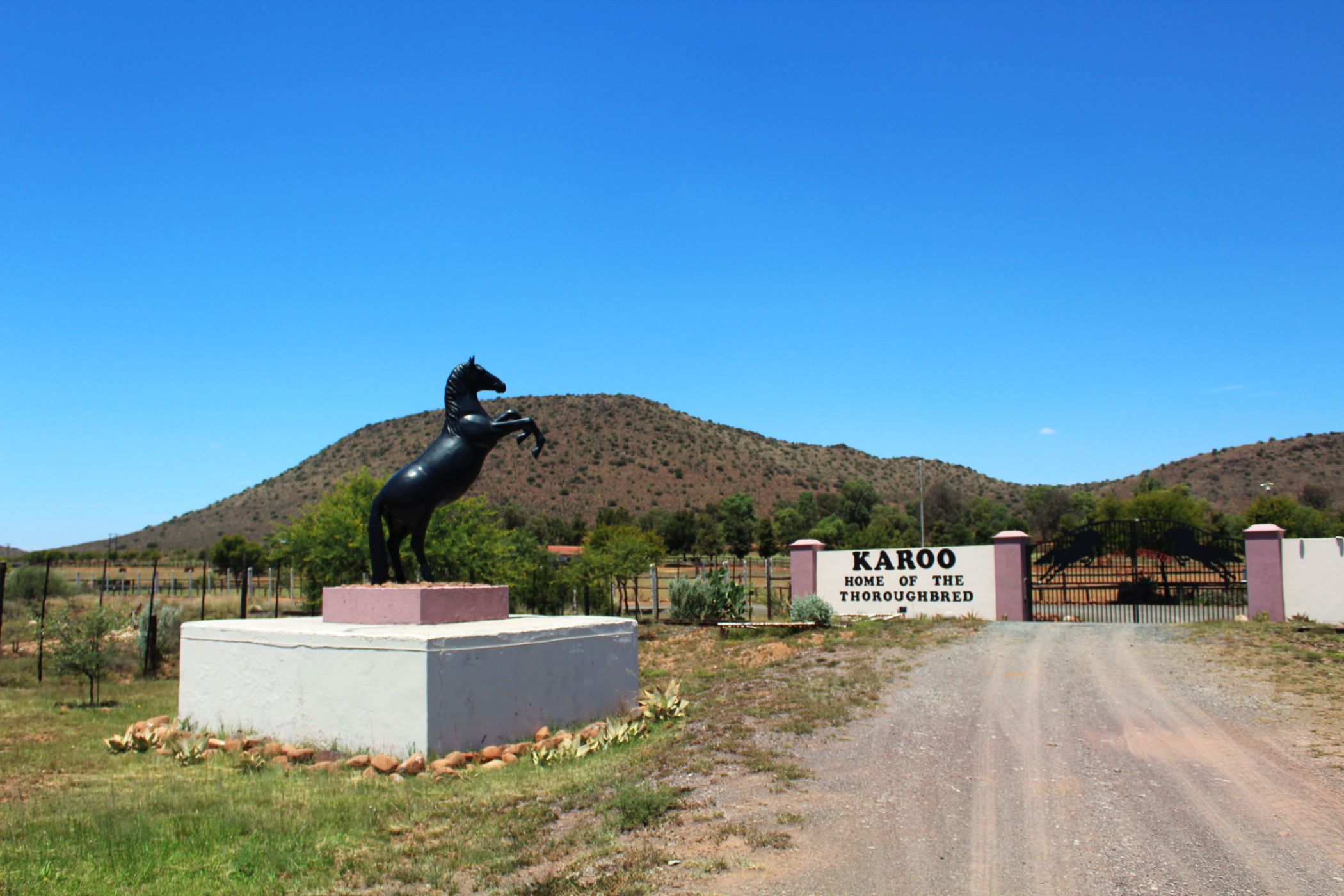 Breeding farm for sale in Middelburg Rural - 1KK1728614