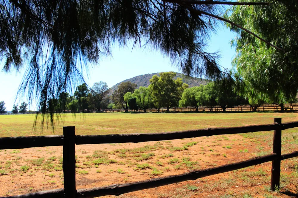 Breeding farm for sale in Middelburg Rural - 1KK1728614 Breeding farm for sale in Middelburg Rural - 1KK1728614