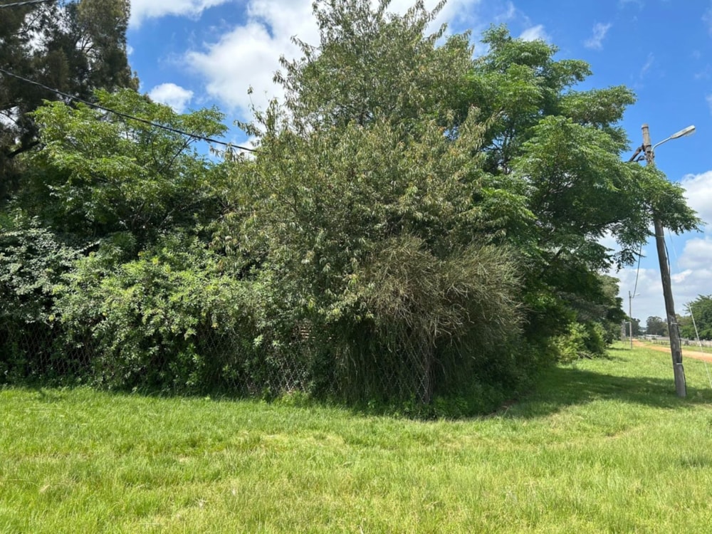 Farm vacant land for sale in Benoni AH - EN1726617