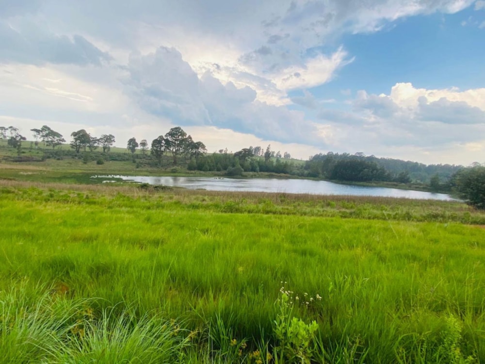 Mixed use farm for sale in Dullstroom - 1DS1726864