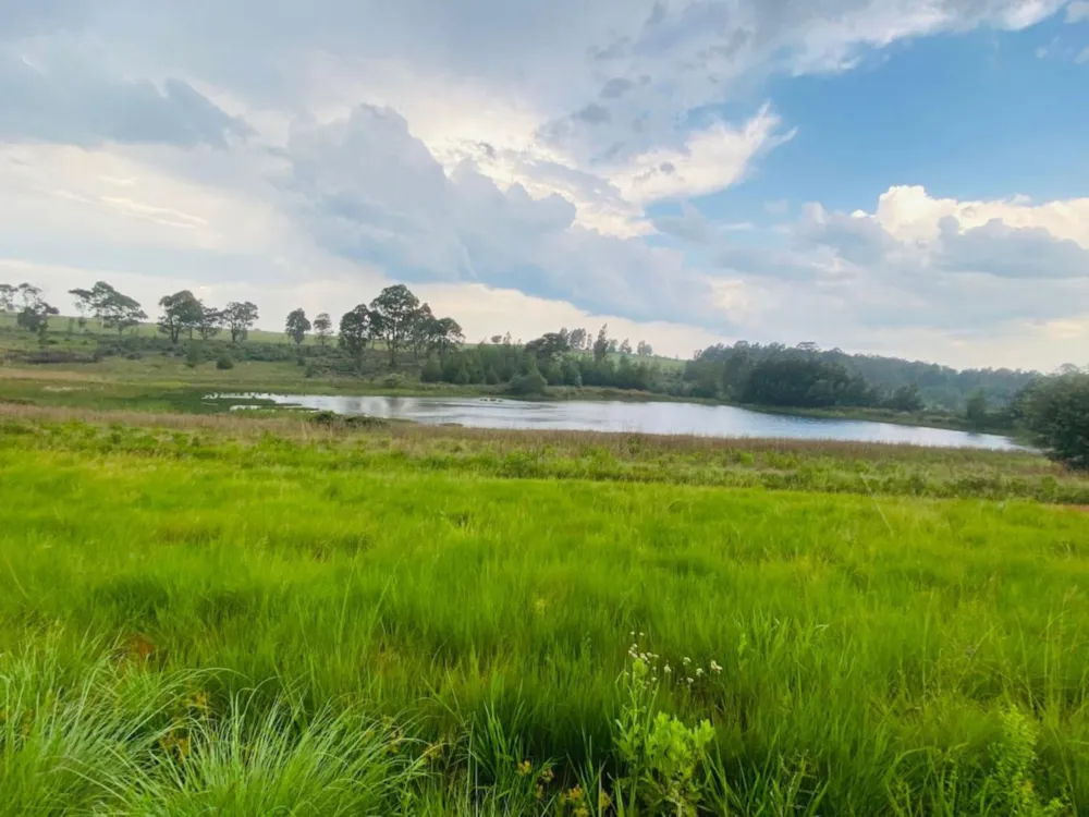 Mixed use farm for sale in Dullstroom - 1DS1726864 Mixed use farm for sale in Dullstroom - 1DS1726864