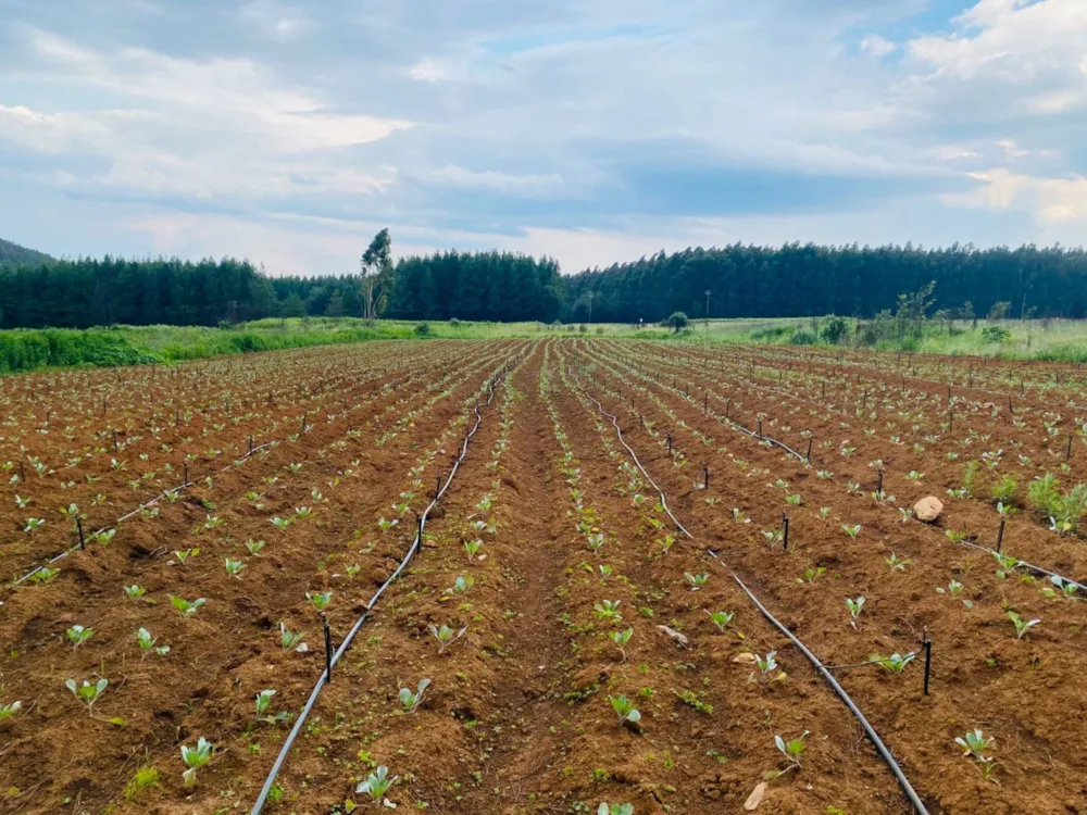 Mixed use farm for sale in Dullstroom - 1DS1726864 Mixed use farm for sale in Dullstroom - 1DS1726864
