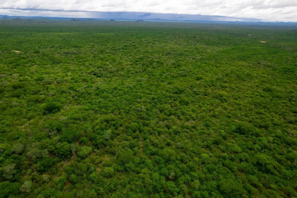 Farm vacant land for sale in Gwanda, Matabeleland South, Zimbabwe - 3ZB1726992