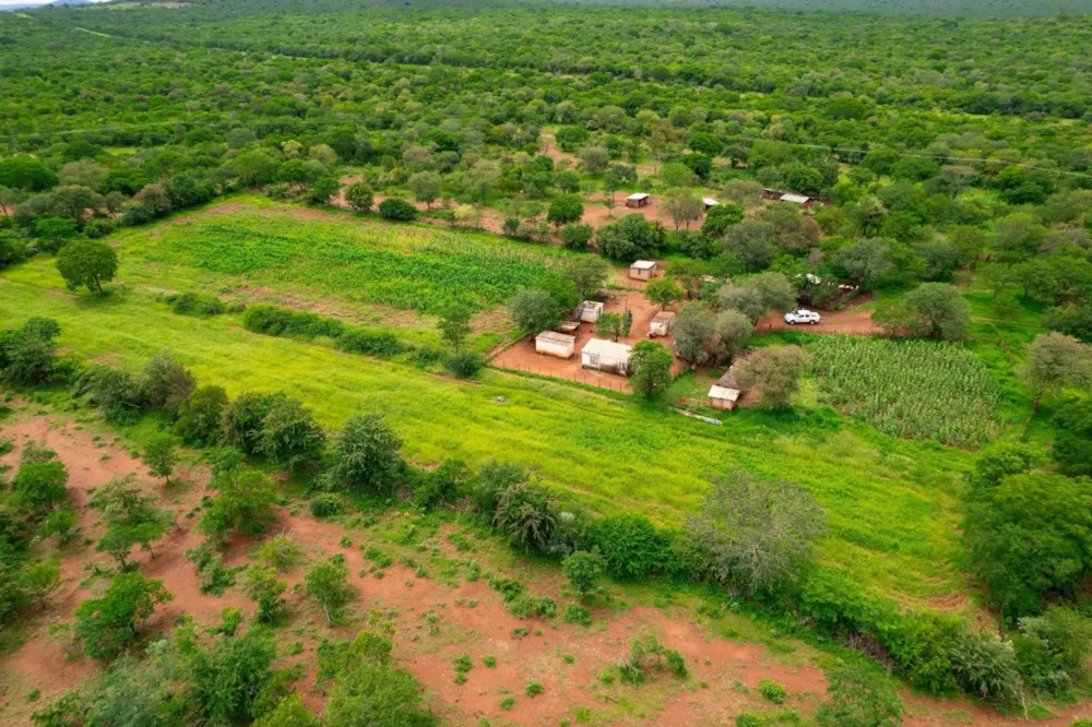 Farm vacant land for sale in Gwanda, Matabeleland South, Zimbabwe - 3ZB1726992