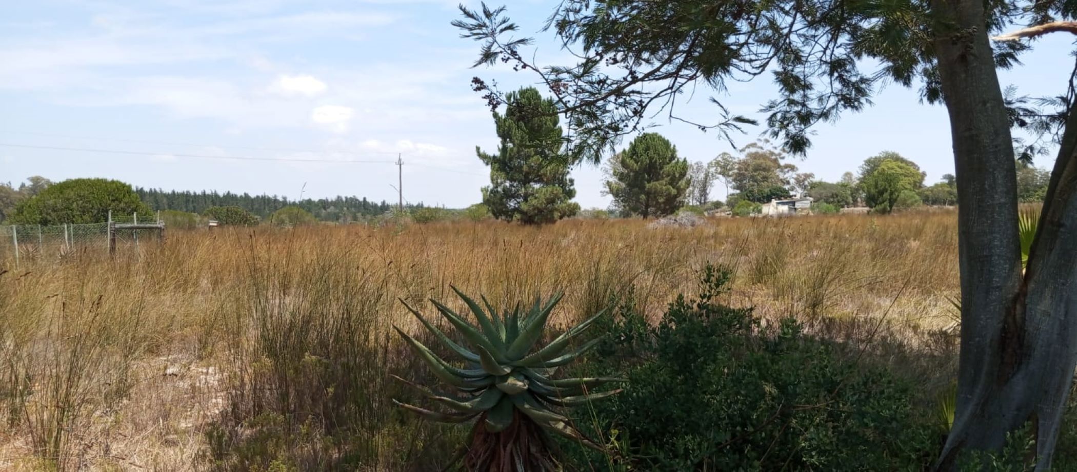 Residential vacant land for sale in Albertinia - 1SR1727069