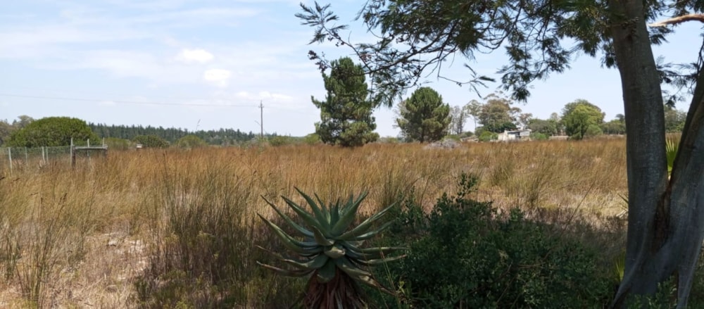 Residential vacant land for sale in Albertinia - 1SR1727069