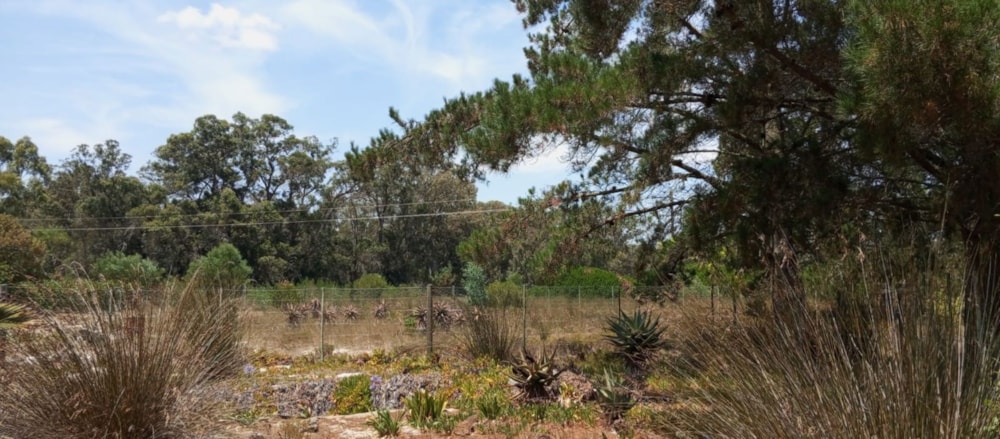 Residential vacant land for sale in Albertinia - 1SR1727069