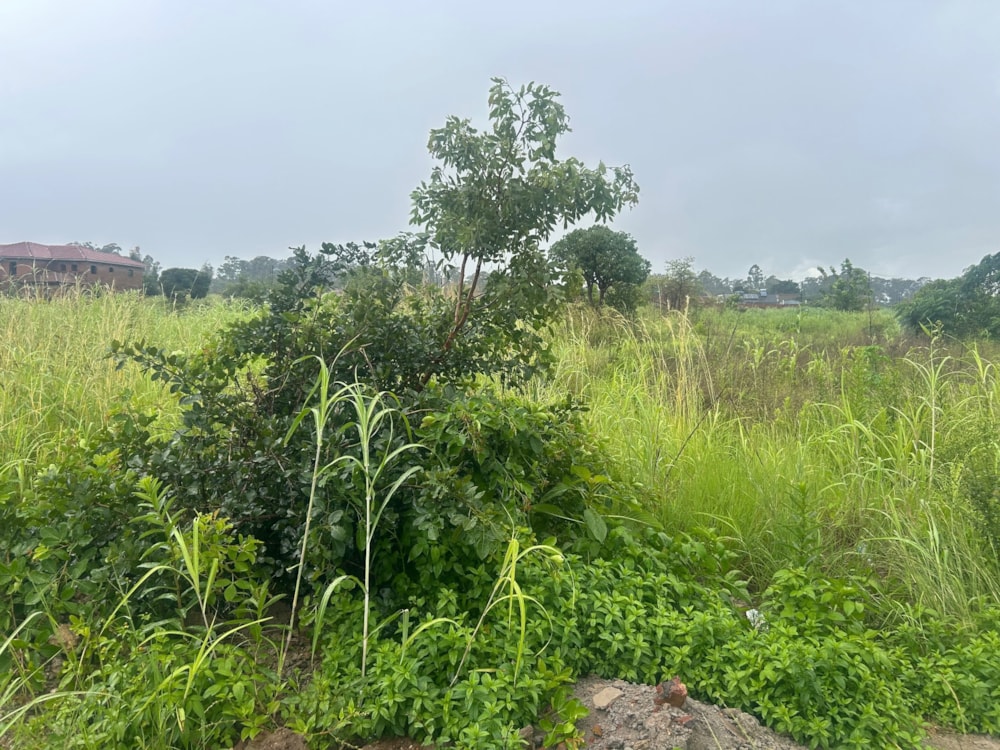 Vacant land for sale in Manressa, Zimbabwe - 3ZB1729206