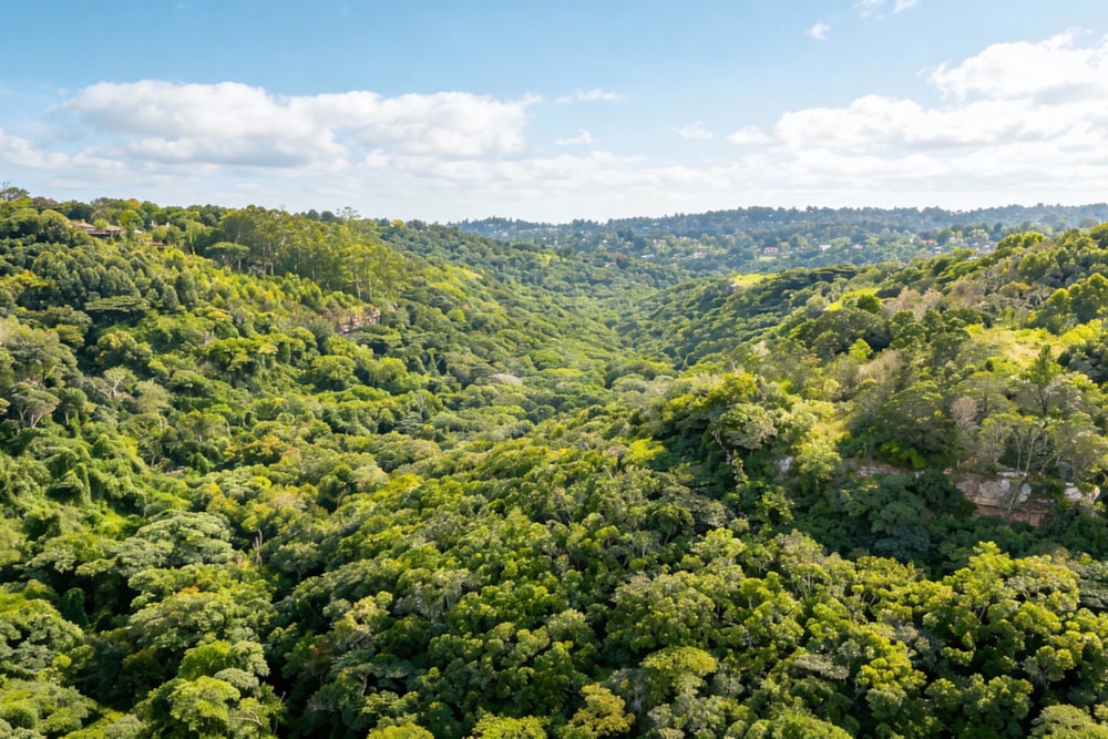 House for sale in Forest Hills - 1KF1727201