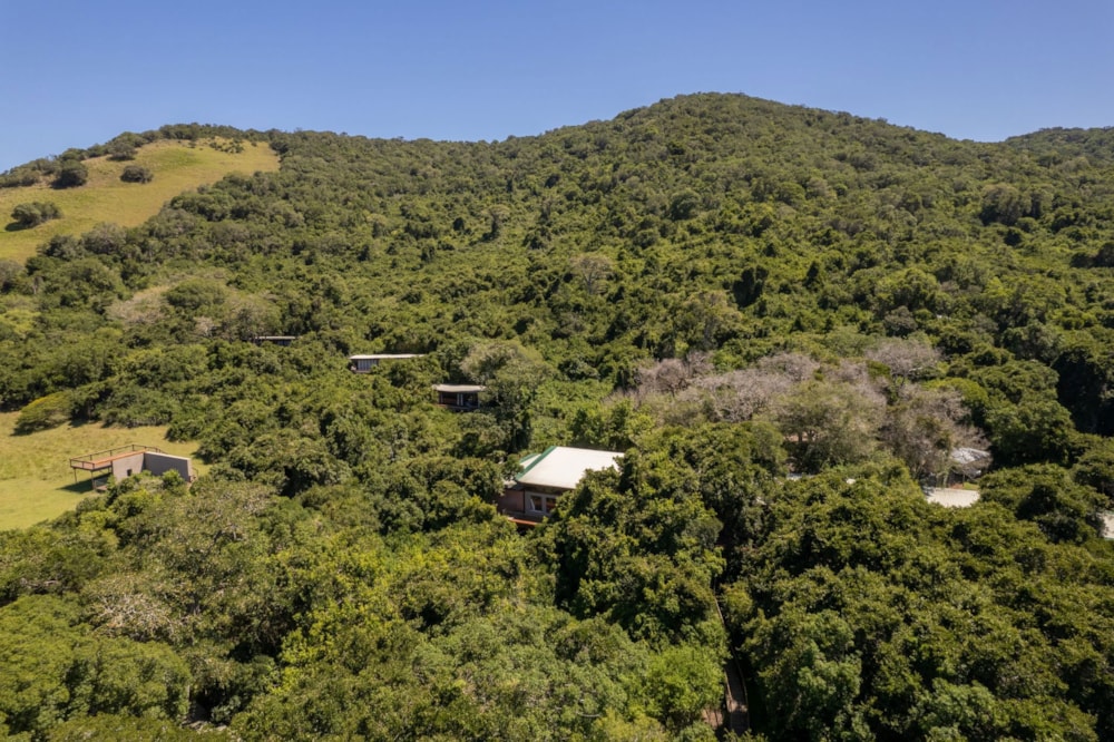 Game farm for sale in Alexandria - 1GC1727416