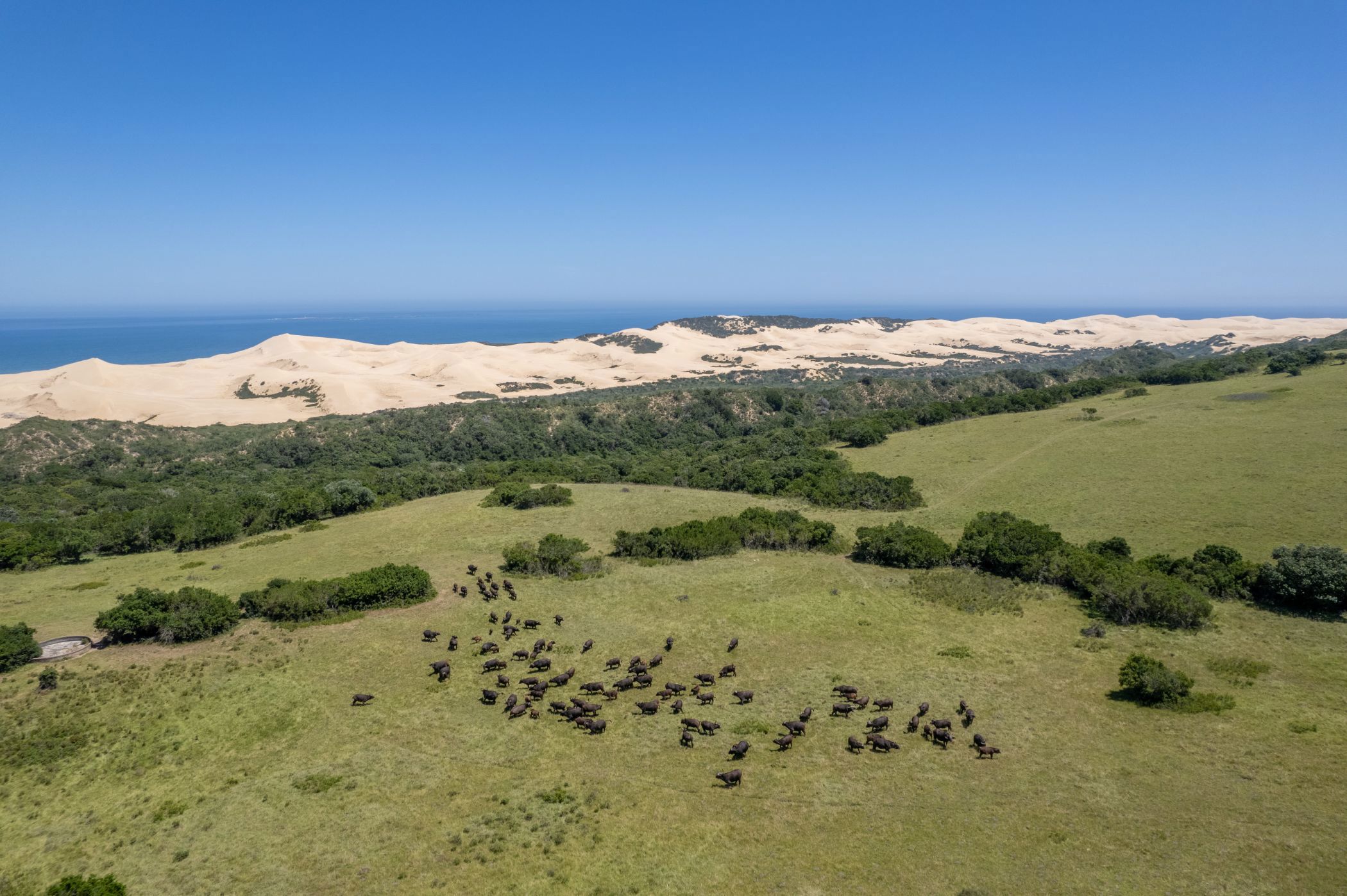 Game farm for sale in Alexandria - 1GC1727416