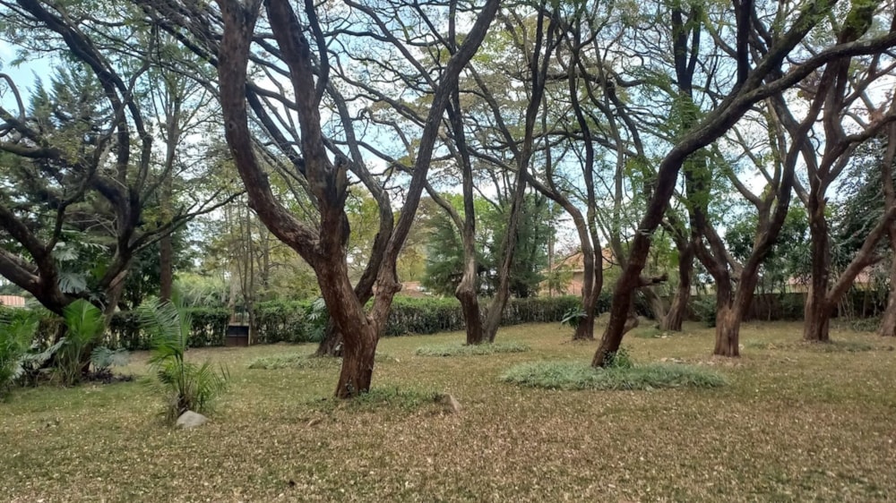 Commercial vacant land for sale in Karen, Kenya - 3KE1727410