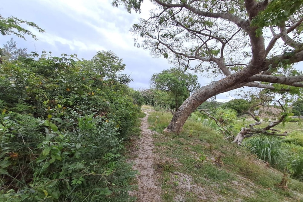 Vacant land for investment in Praia do Bilene, Gaza, Mozambique - 3MQ1727510