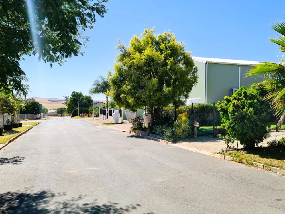 House for sale in Moorreesburg - 1MS1727546 House for sale in Moorreesburg - 1MS1727546