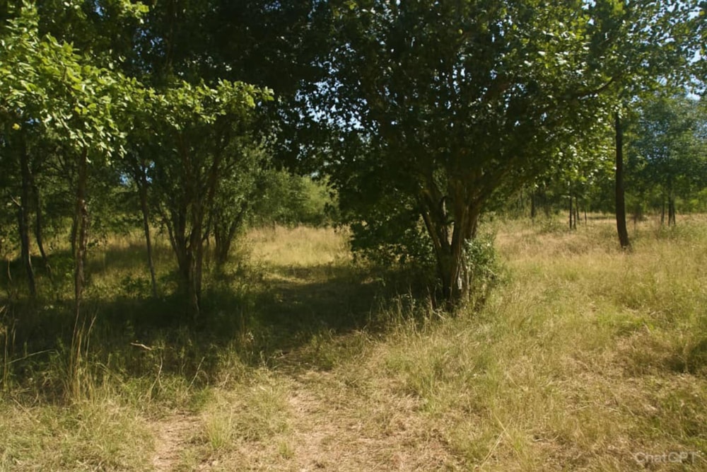 Vacant land for sale in Marondera, Zimbabwe - 3ZB1727606