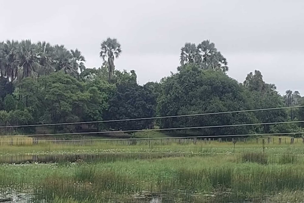 Commercial Building for sale in Maun, Botswana - 3BO1728234 Commercial Building for sale in Maun, Botswana - 3BO1728234