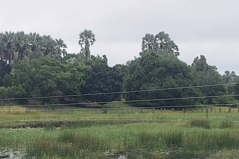 Commercial Building for sale in Maun, Botswana - 3BO1728234 Commercial Building for sale in Maun, Botswana - 3BO1728234