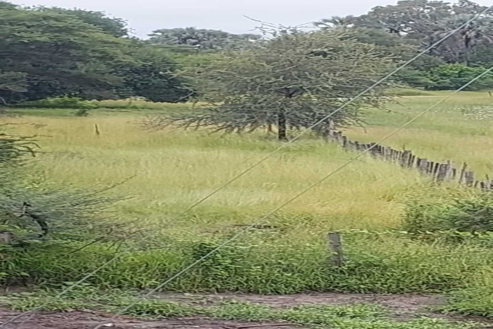 Commercial Building for sale in Maun, Botswana - 3BO1728234 Commercial Building for sale in Maun, Botswana - 3BO1728234