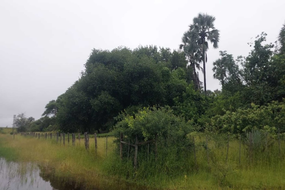 Commercial Building for sale in Maun, Botswana - 3BO1728234 Commercial Building for sale in Maun, Botswana - 3BO1728234