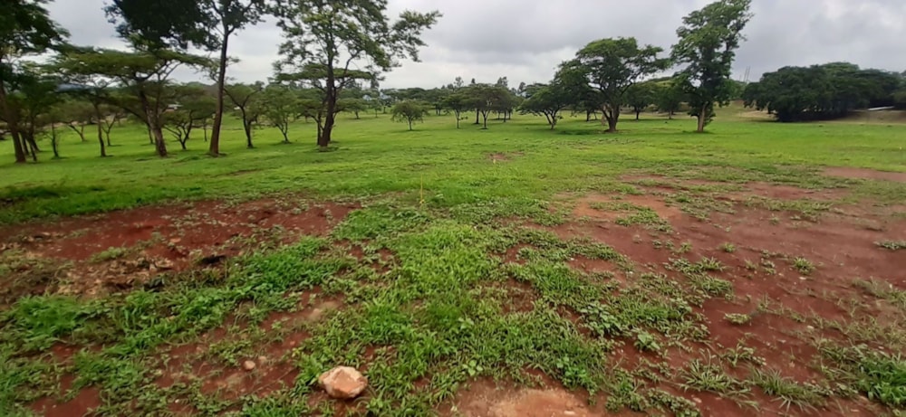 Vacant land for sale in Arbor Park, Tzaneen - 1TA1727903