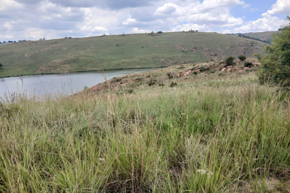 Vacant land for sale in Naaupoort - 1WD1727919