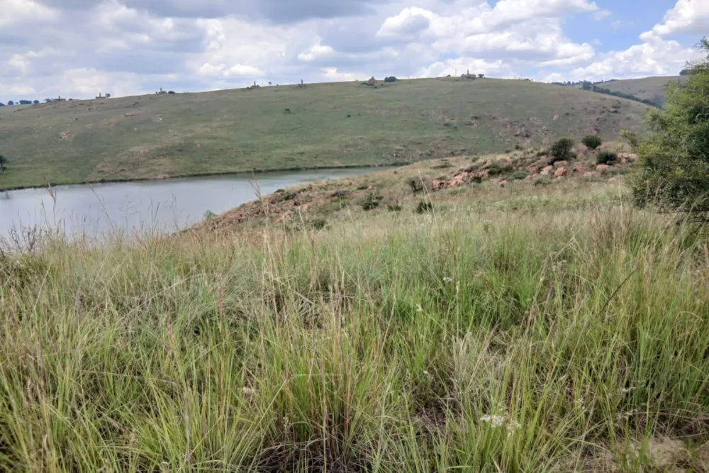 Vacant land for sale in Naaupoort - 1WD1727919
