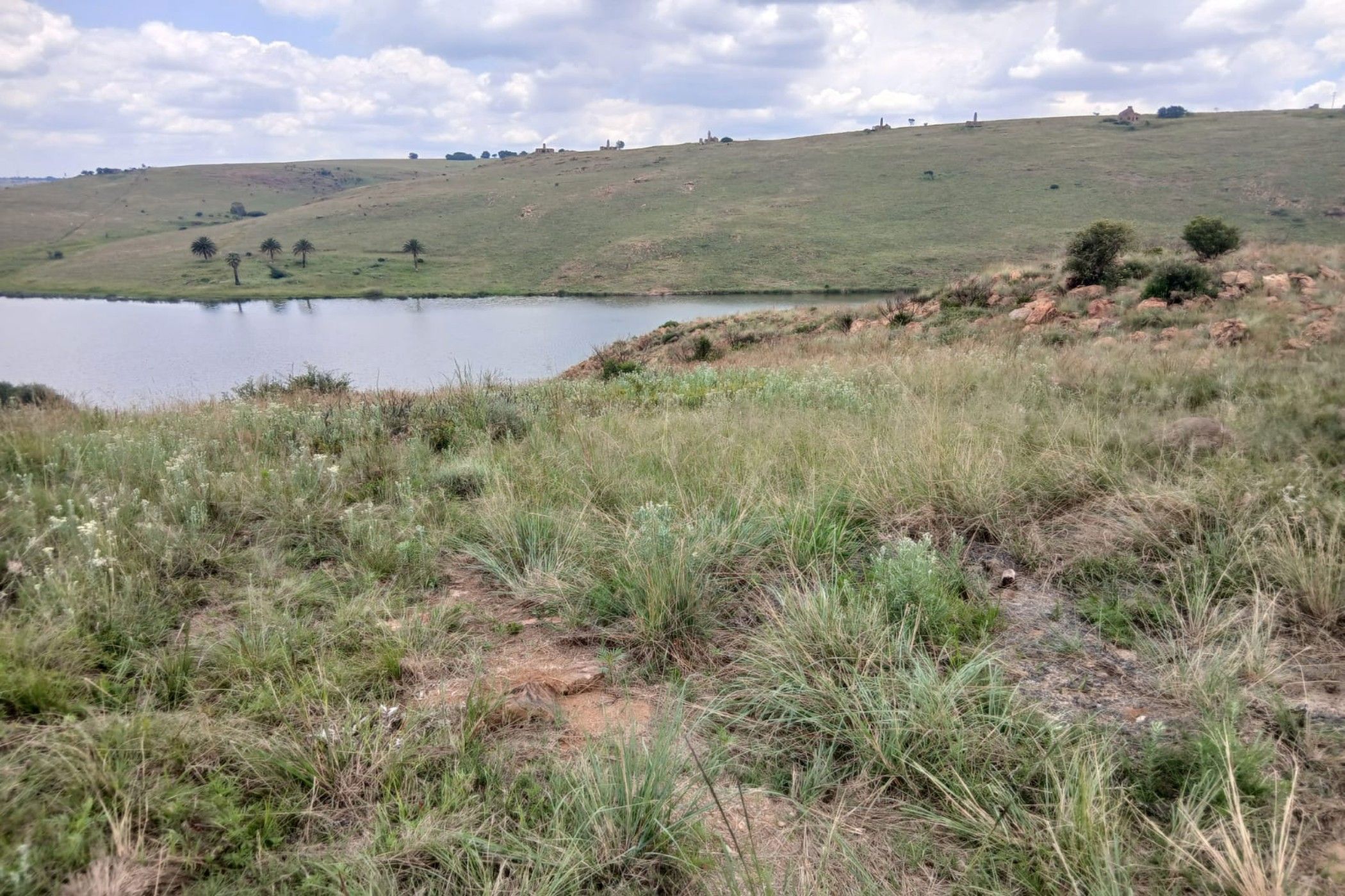 Vacant land for sale in Naaupoort - 1WD1727923