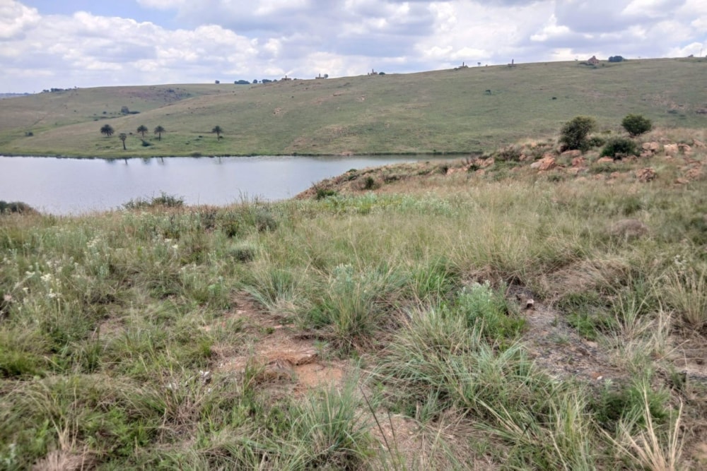 Vacant land for sale in Naaupoort - 1WD1727923