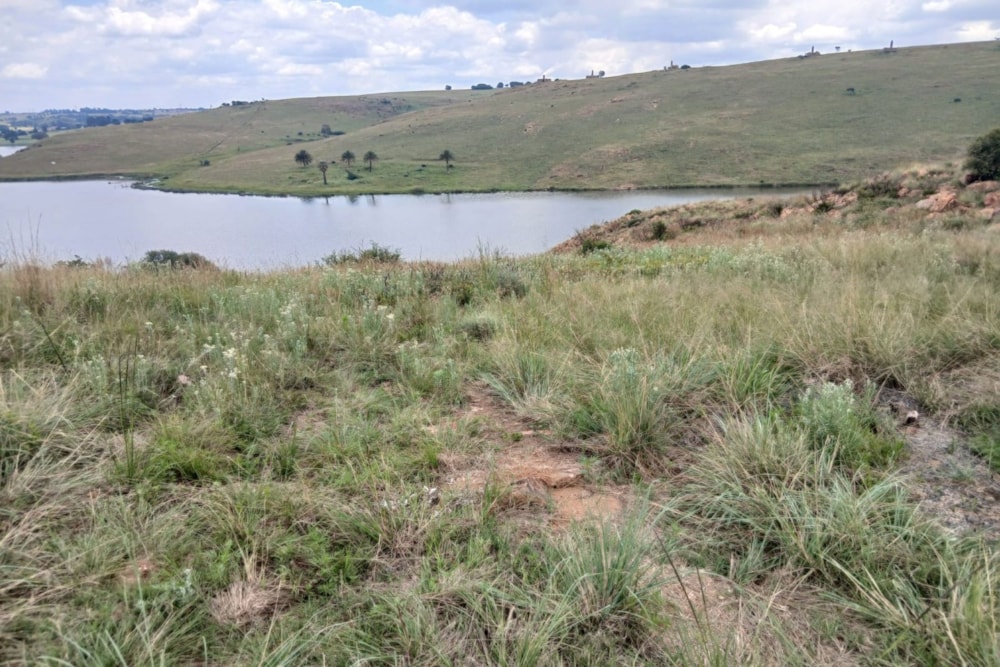 Vacant land for sale in Naaupoort - 1WD1727923