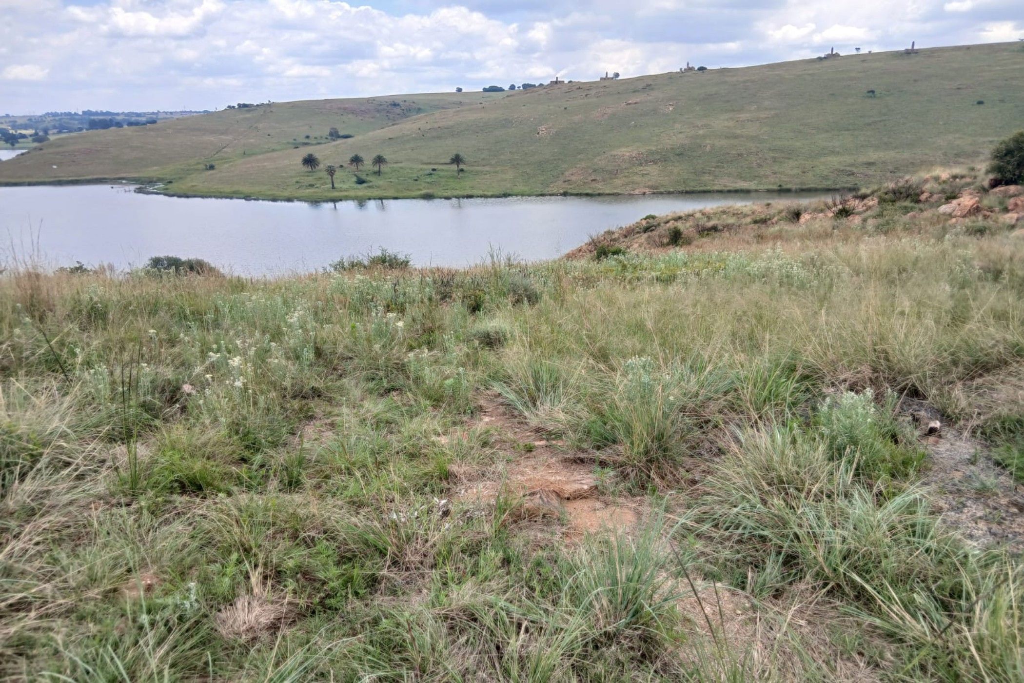 Vacant land for sale in Naaupoort - 1WD1727924