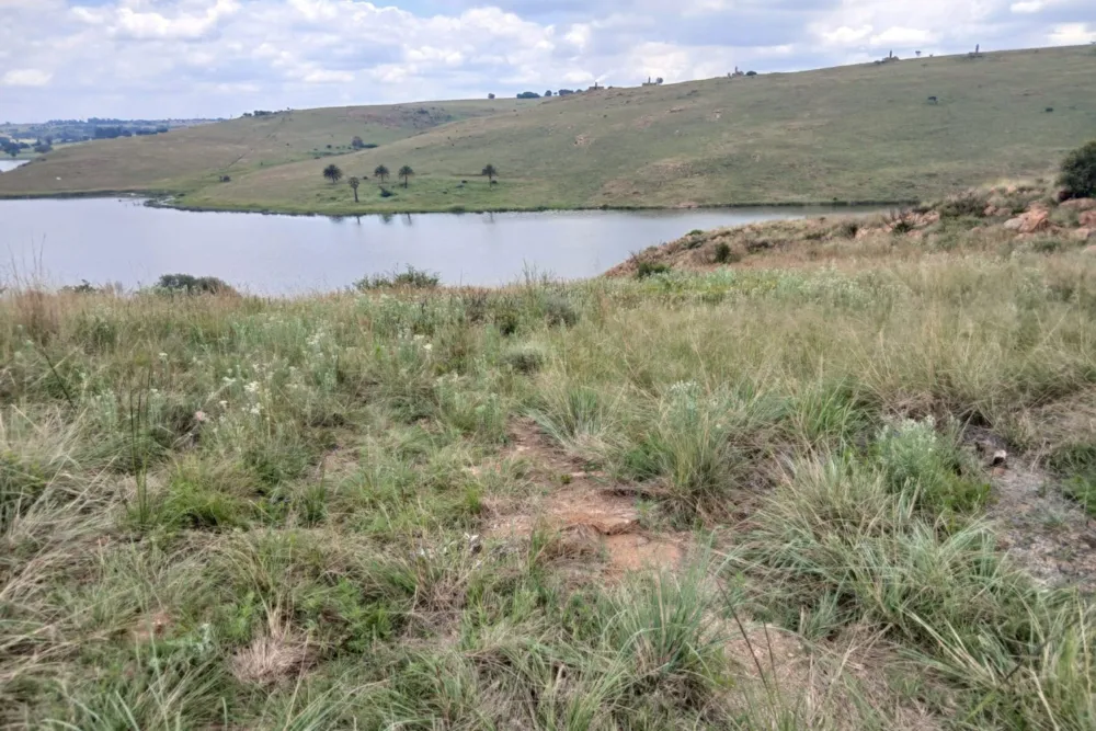 Vacant land for sale in Naaupoort - 1WD1727924