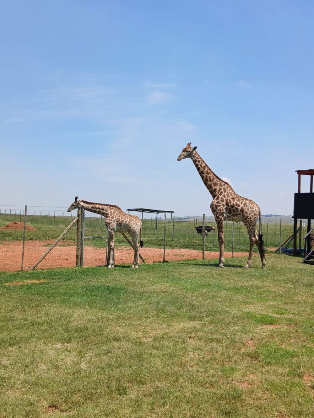 Vacant land for sale in Naaupoort - 1WD1727926