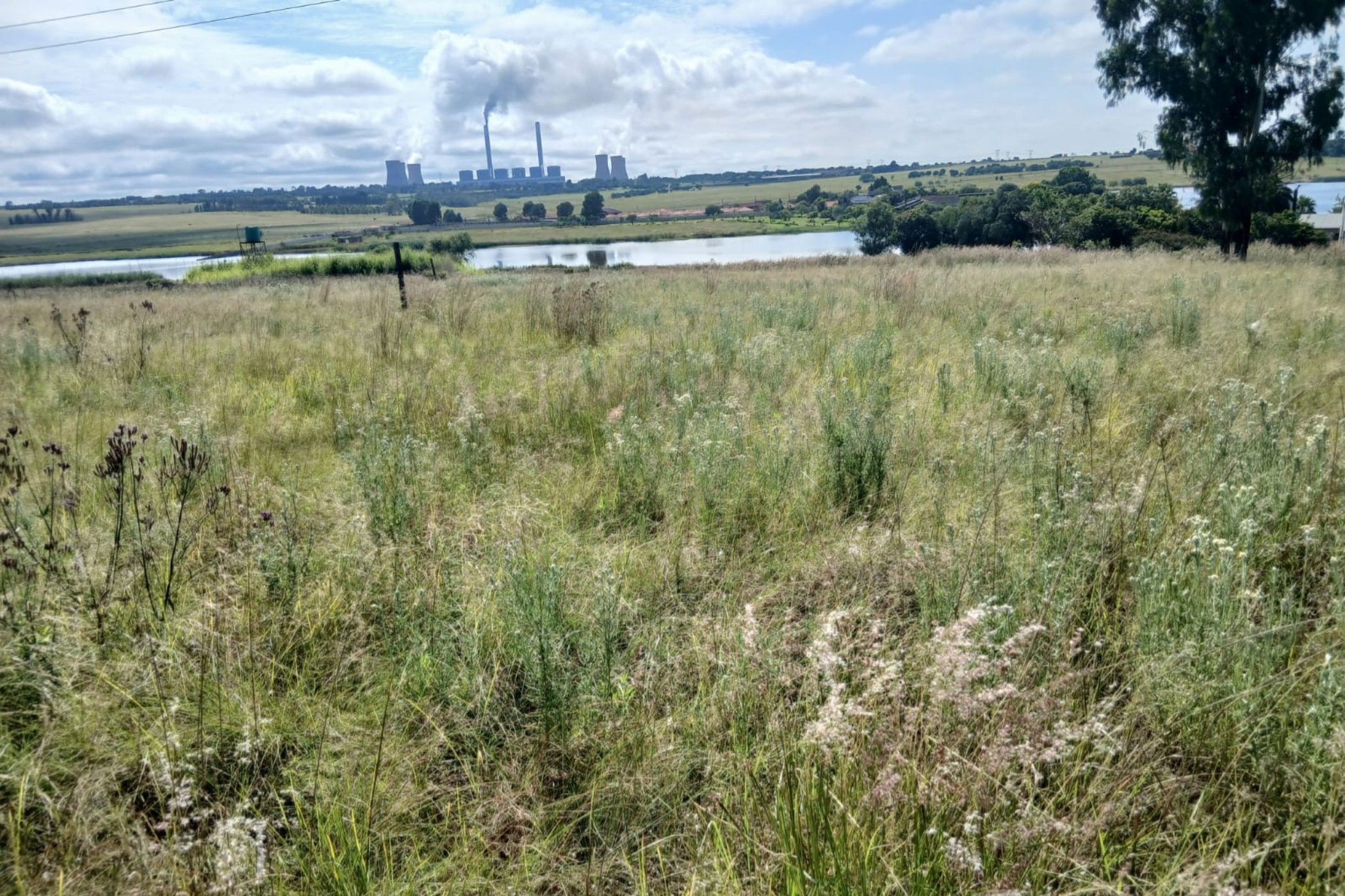 Vacant land for sale in Naaupoort - 1WD1727926