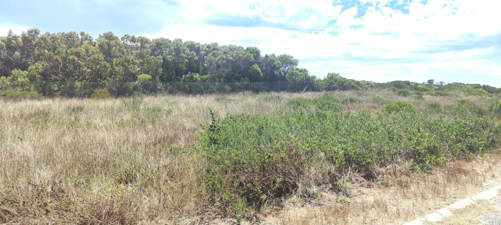 Vacant land for sale in Kleinbaai - 1SW1728118