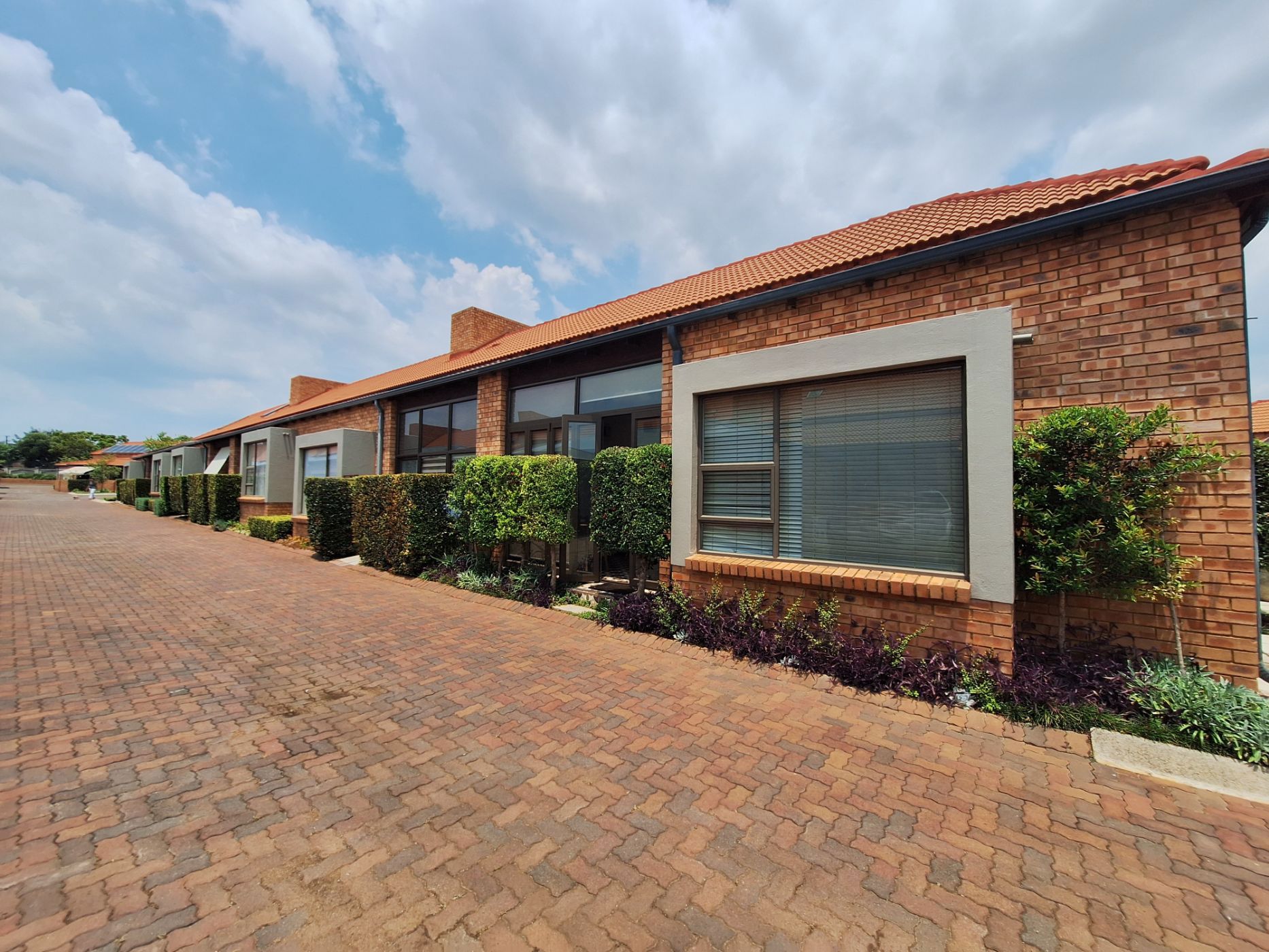 Apartment to rent in Equestria - PTL1728141