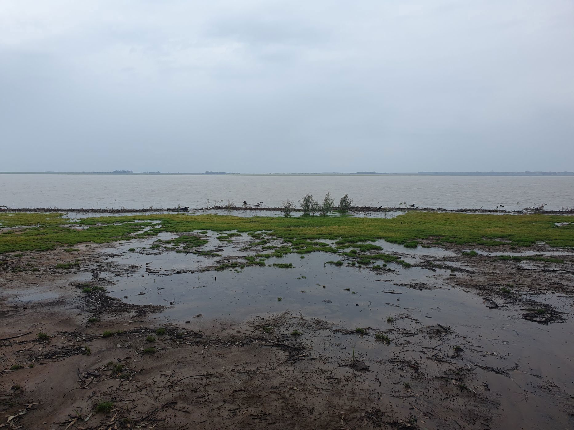 Farm vacant land for sale in Balfour Rural  - 1VT1728231