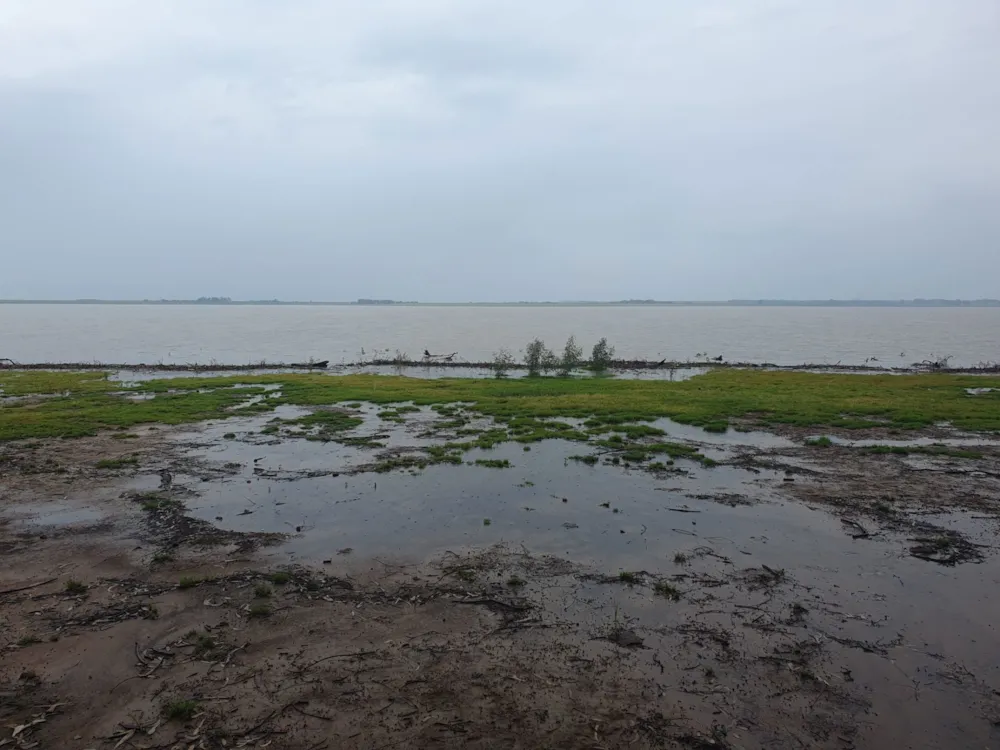Farm vacant land for sale in Balfour Rural  - 1VT1728231