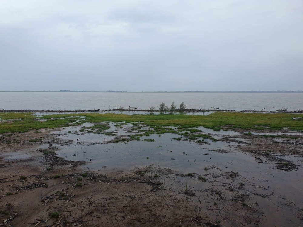 Farm vacant land for sale in Balfour Rural  - 1VT1728231