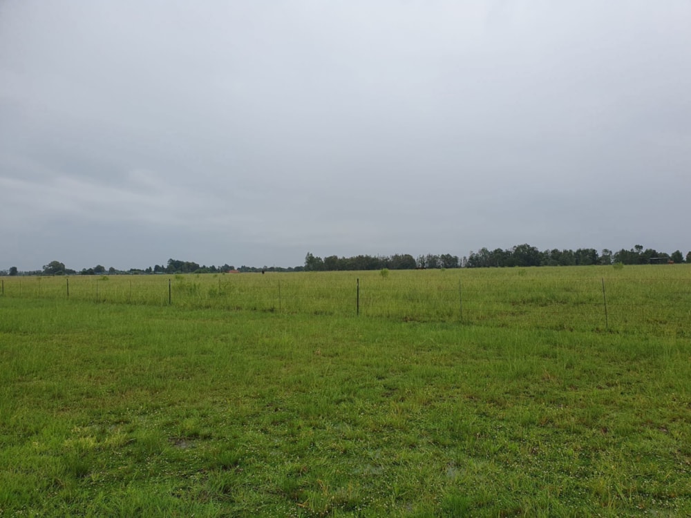 Farm vacant land for sale in Balfour Rural  - 1VT1728231