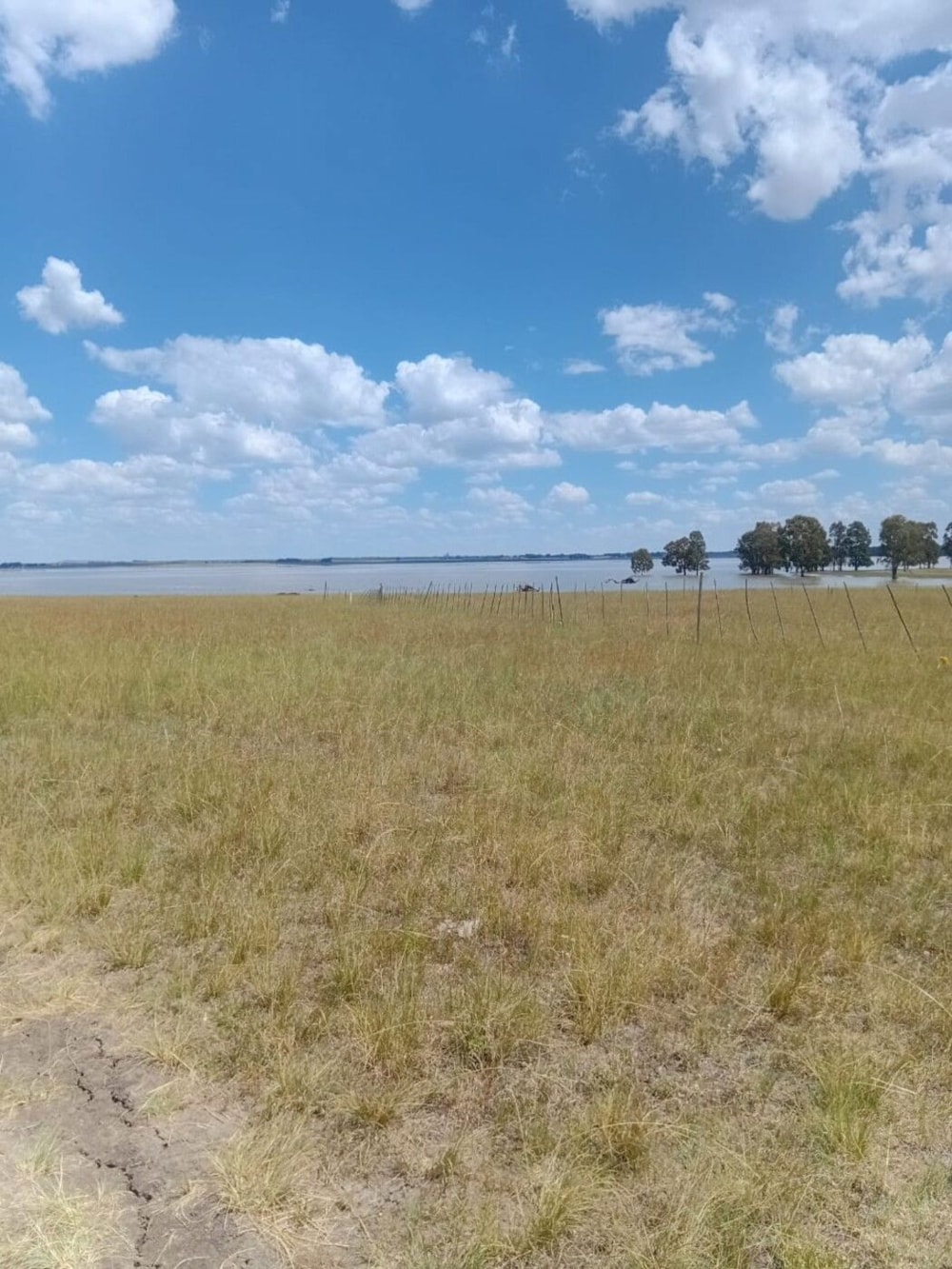 Farm vacant land for sale in Balfour Rural  - 1VT1728231