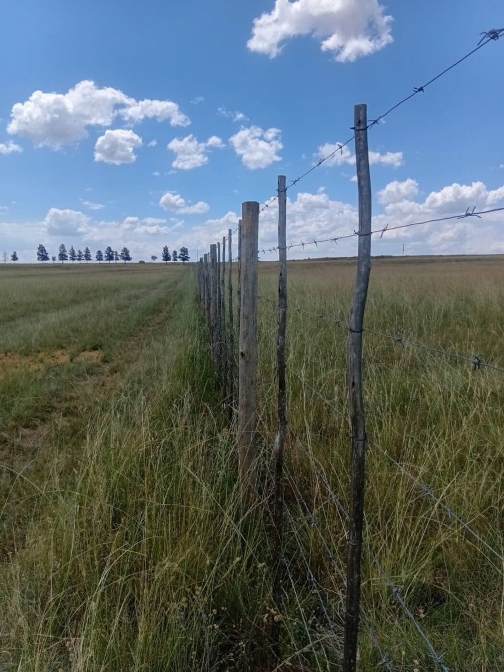 Farm vacant land for sale in Balfour Rural  - 1VT1728231