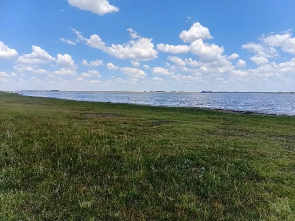 Farm vacant land for sale in Balfour Rural  - 1VT1728231