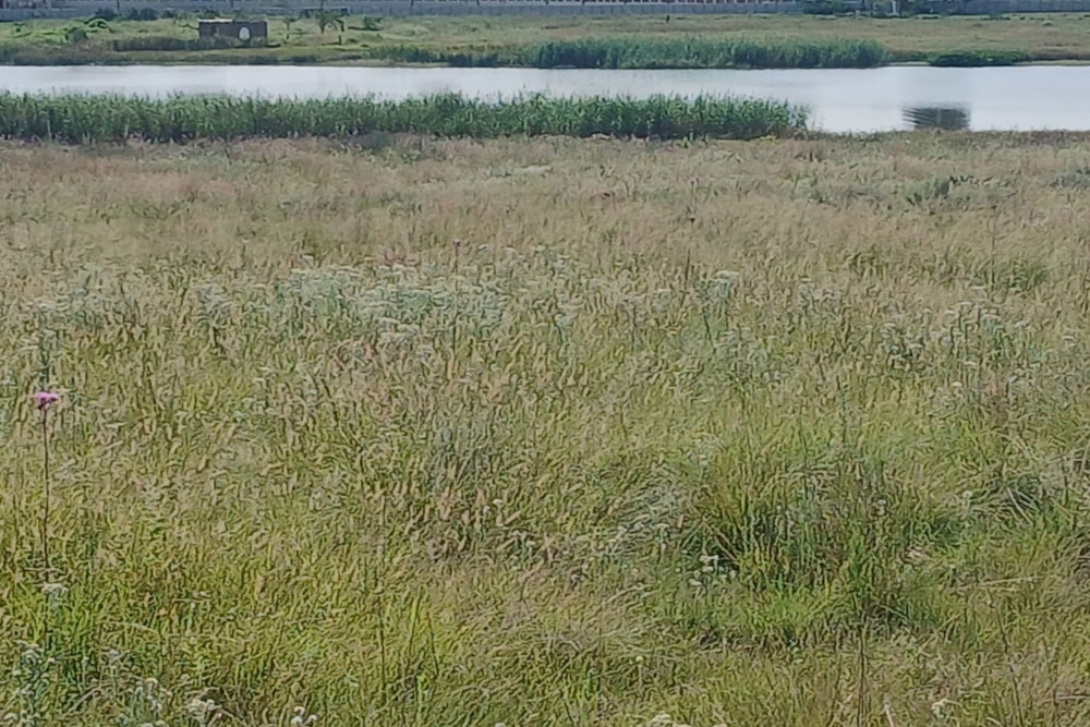 Vacant land for sale in Witbank Rural (eMalahleni Rural)  - 1WD1728247