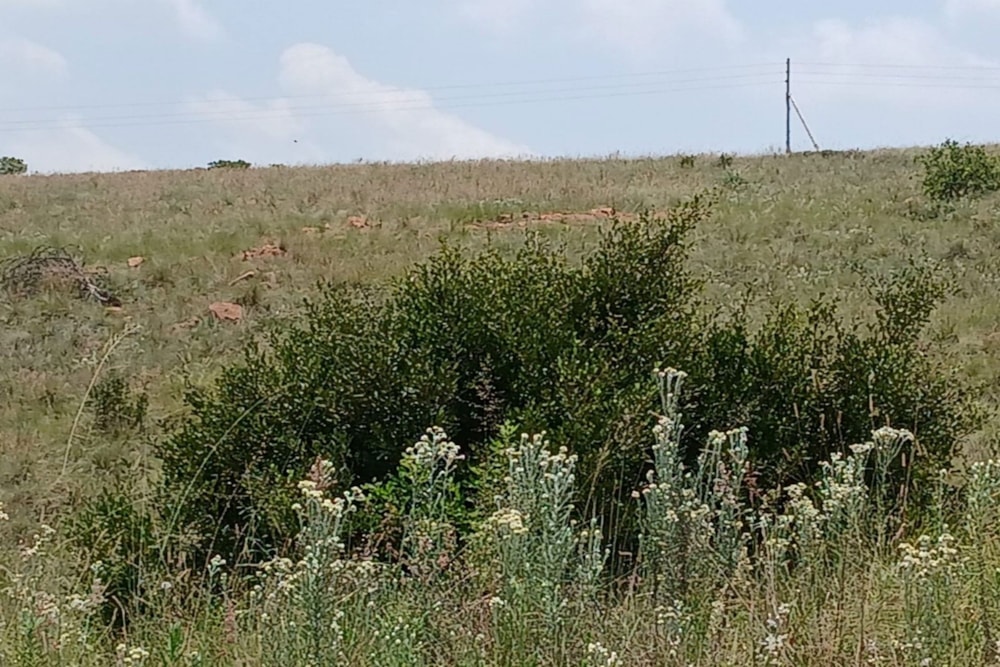 Vacant land for sale in Golden Mile - 1WD1728249