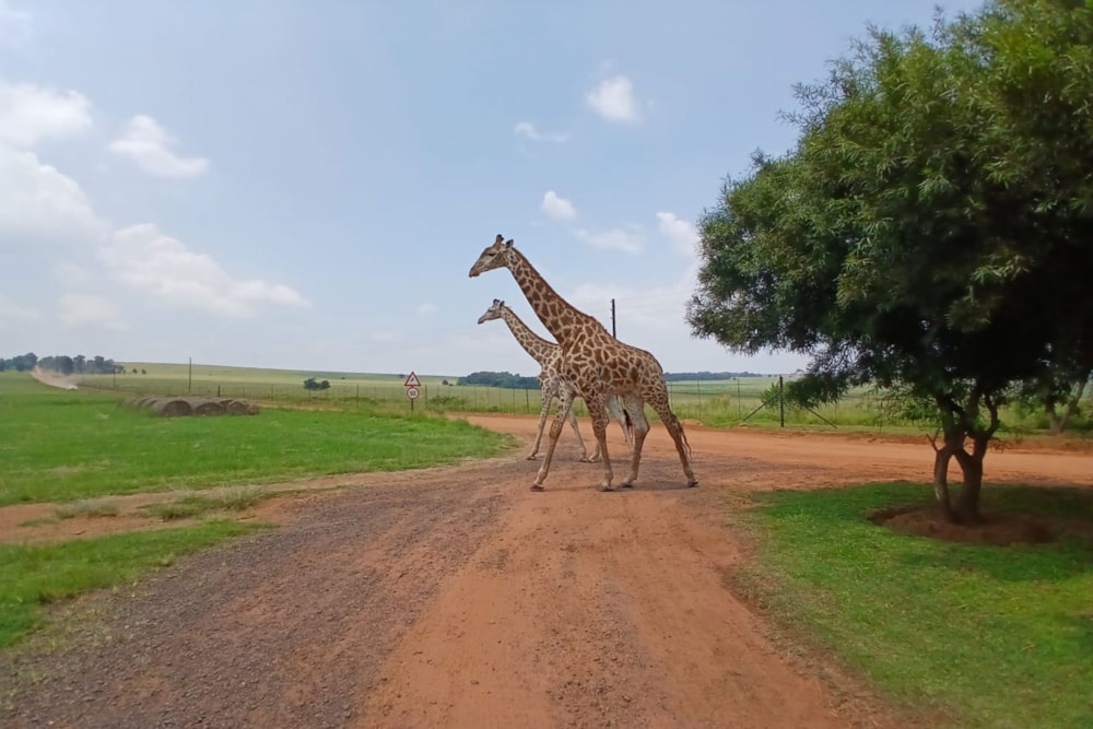 Vacant land for sale in Golden Mile - 1WD1728249